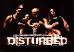 Disturbed!