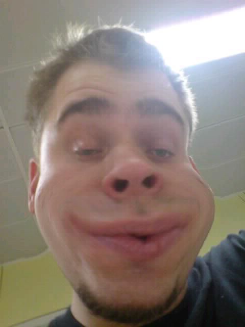 Bild av qui