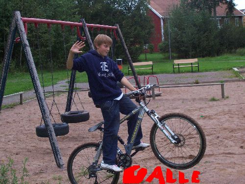 Bild av stylish