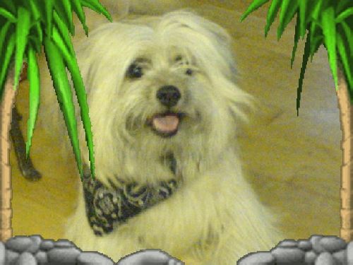 Bild av Bonita_Malo