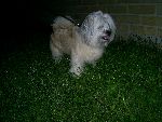 Bild av Bonita_Malo