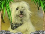 Bild av Bonita_Malo