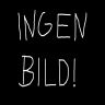 Bild av stingan