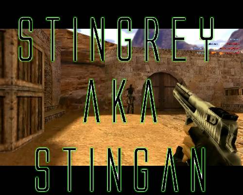 Bild av stingan