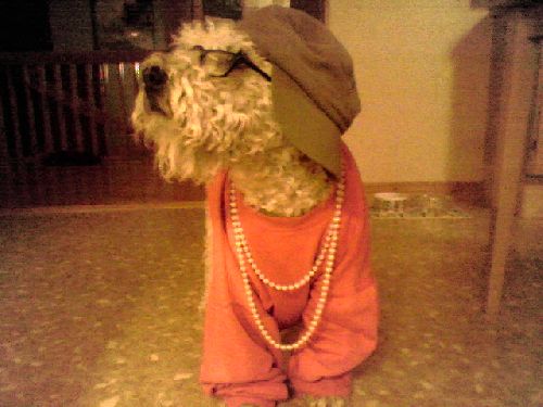 Wilma<3