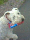 Wilma<3