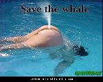 save the whale