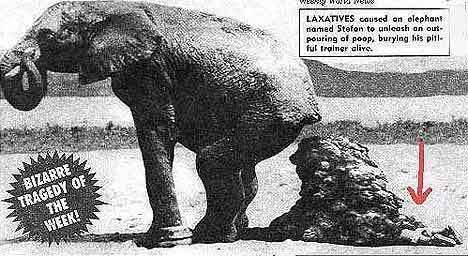 Bild av Machrez