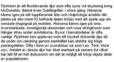 Bild av Machrez