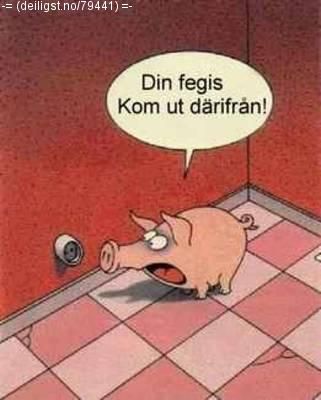 Bild av Machrez
