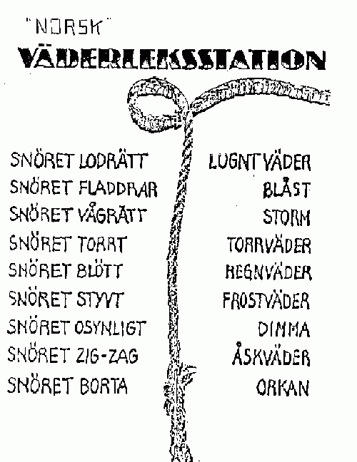 Bild av Machrez