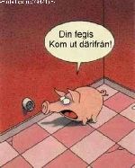Bild av Machrez