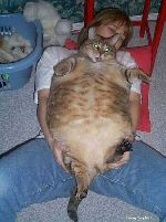 Bild av catman