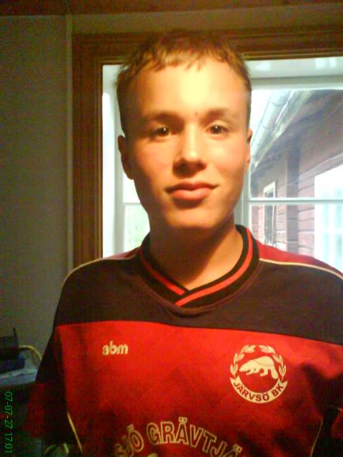 Bild av bull3