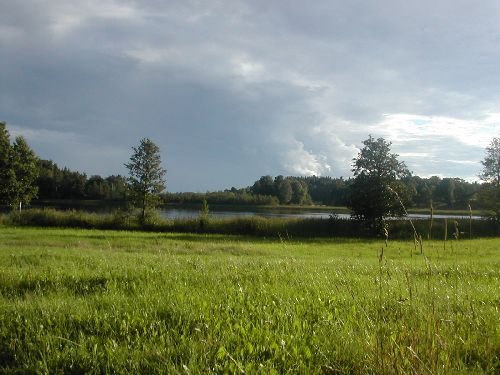 Bild av robask