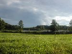 Bild av robask
