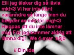 Min älskade Elli..