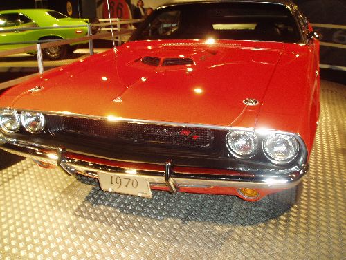 Bild av mustangking