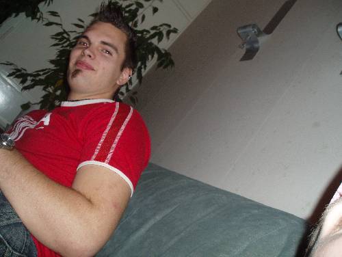 Bild av honbin