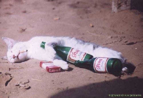 hjälp mig! jag lider av alkohol brist