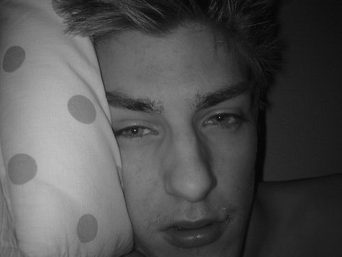 Bild av shuggee