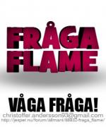 Profilbild för stekarnflame