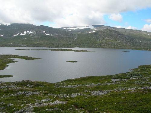 Bild av lukke95