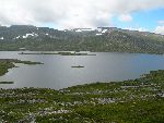 Bild av lukke95