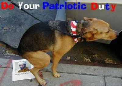 cool hund