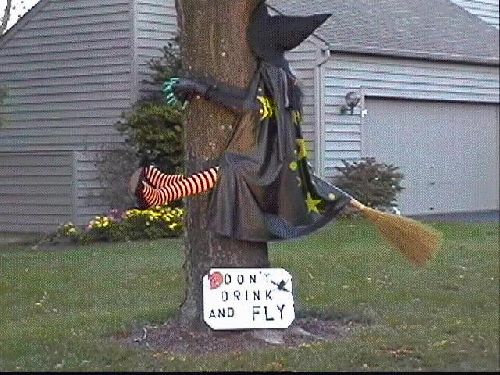 dont drink and fly