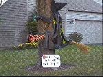 dont drink and fly