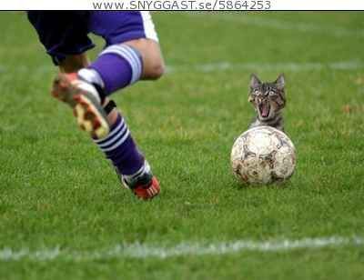 Bild av a.t.a.b