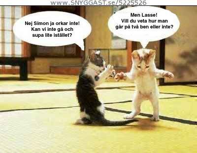 Bild av Olle93
