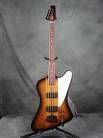 gibson thunderbird