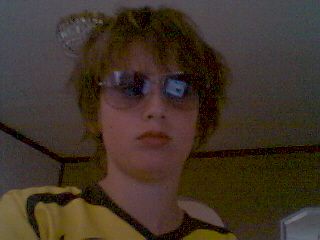 Bild av dingo