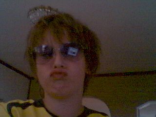 Bild av dingo