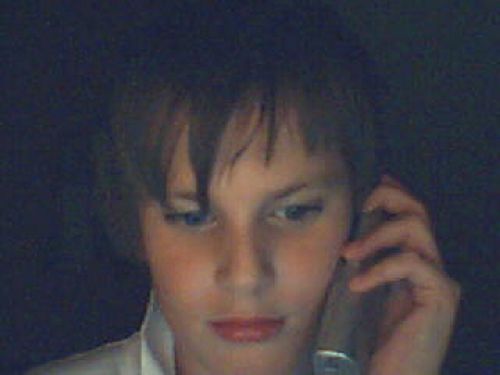 Bild av dingo