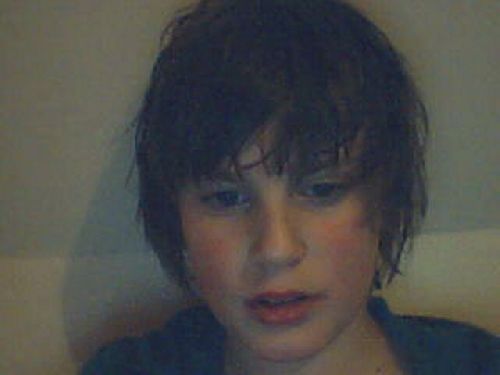 Bild av dingo