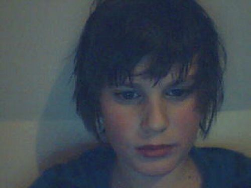 Bild av dingo