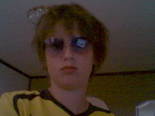 Bild av dingo