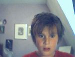 Bild av dingo