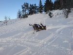 Bild av Ski_doo
