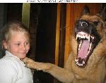 Bit henne! Bit henne! BIT HENNE SA JAG!