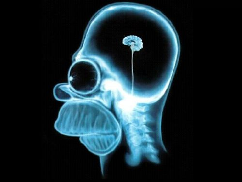 Bild av arebokert