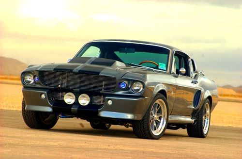 en fin mustang