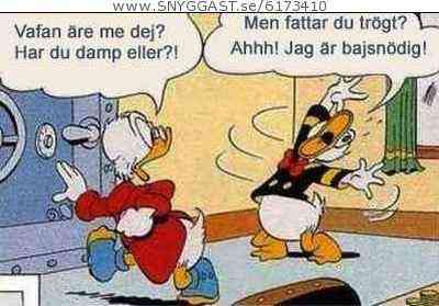 Kalle anka bajsnödig !!!!!