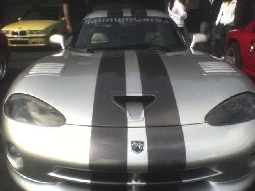 väldigt fin viper