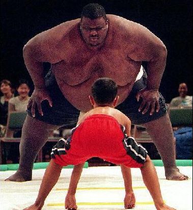 Barn vs Sumo