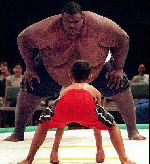 Barn vs Sumo