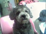 Pelle <3